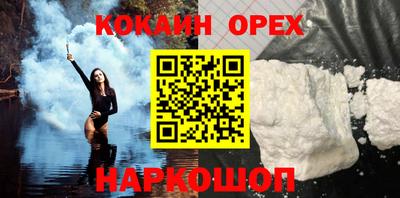 спайс Кингисепп