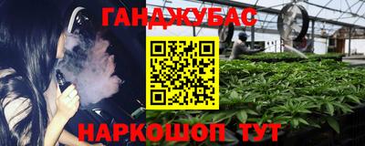 спайс Кингисепп