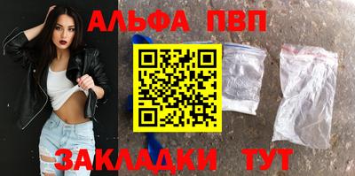 спайс Кингисепп