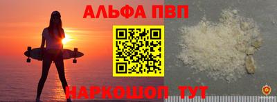 спайс Кингисепп