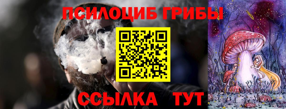 Галлюциногенные грибы Psilocybe  Галлюциногенные грибы прущие грибы  Вход с VPN  Щёлково 